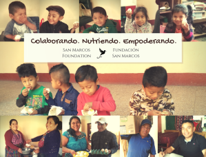 Copy of SMF Website featured images (8)