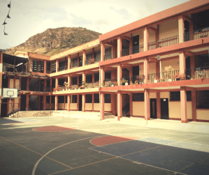 Week 1 One Egg a Day