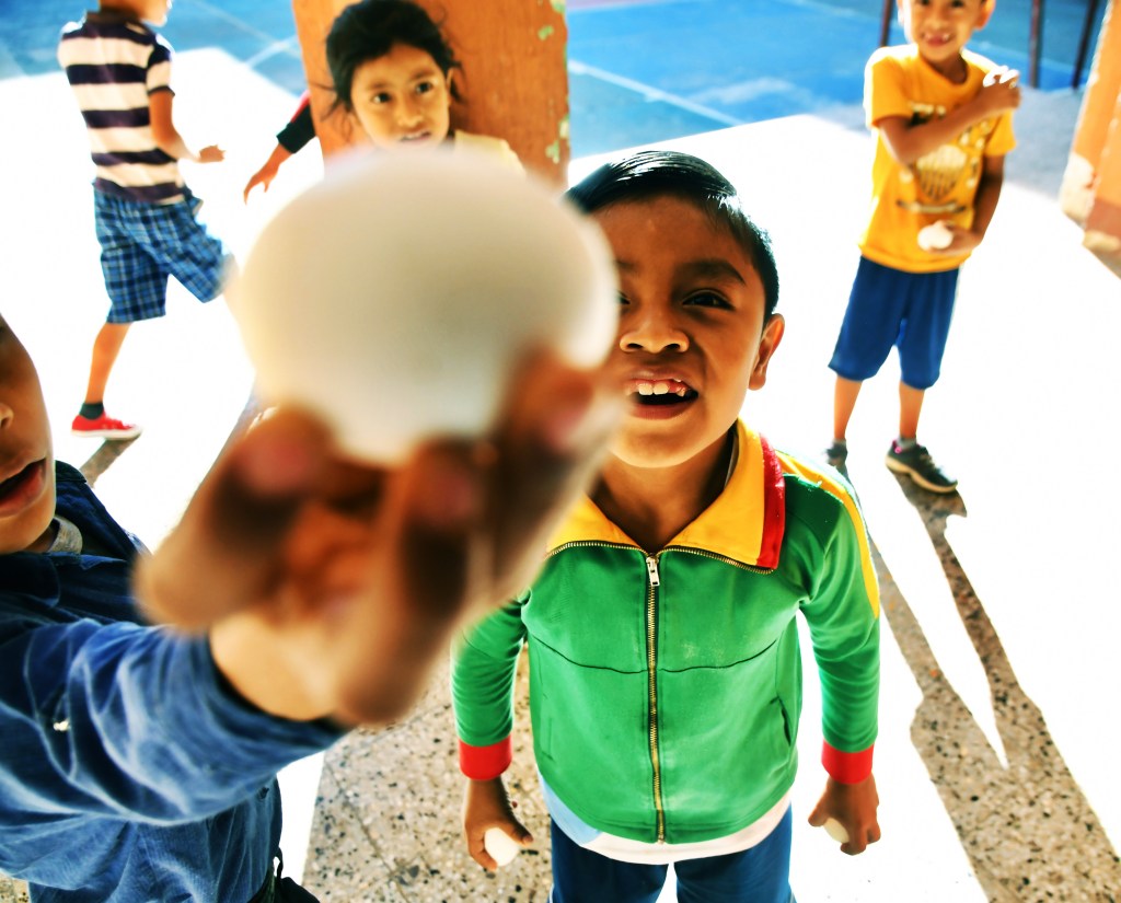 One Egg a Day: Annual Impact&nbsp;Report